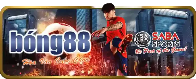 Tổng quan lợi ích đối tác V9BET